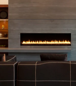 Foyer au gaz de luxe EXEMPLAR R520